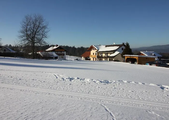 Gaestehaus Schreiner 宾馆